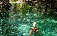 <strong>Los Flamingos, Grutas y Cenotes de Yucatán</strong>