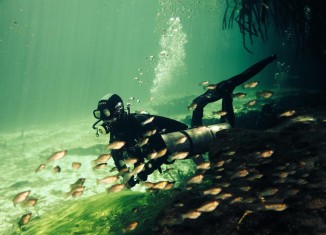Cenote Manatí