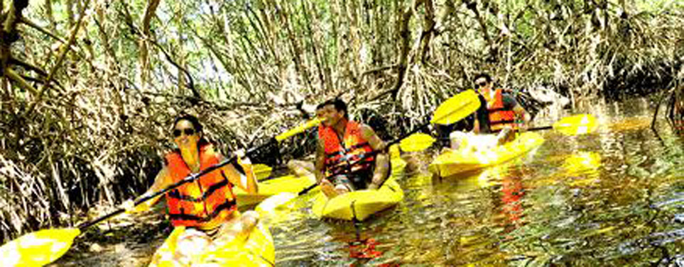 turismoespecial_1389386884_paseo-en-kayak