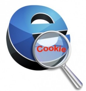 Eliminar cookies, Foto: www.intecnor.com